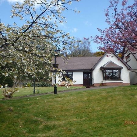 Torrent Cottage Coalisland Exteriér fotografie