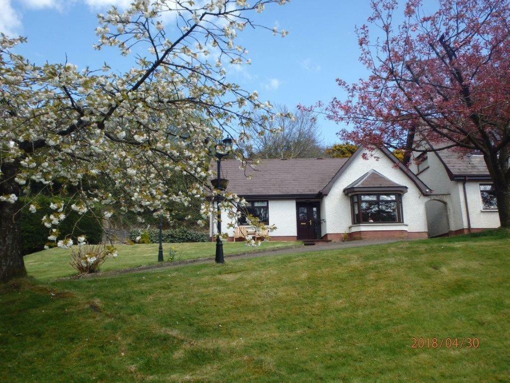 Torrent Cottage Coalisland Exteriér fotografie